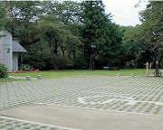 グラッシー