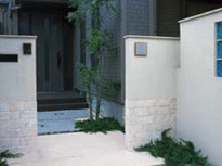 MvDwfemreobi.jpg