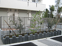 ss-IMG_5127.jpg