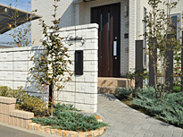 sss-DSC_8432.jpg