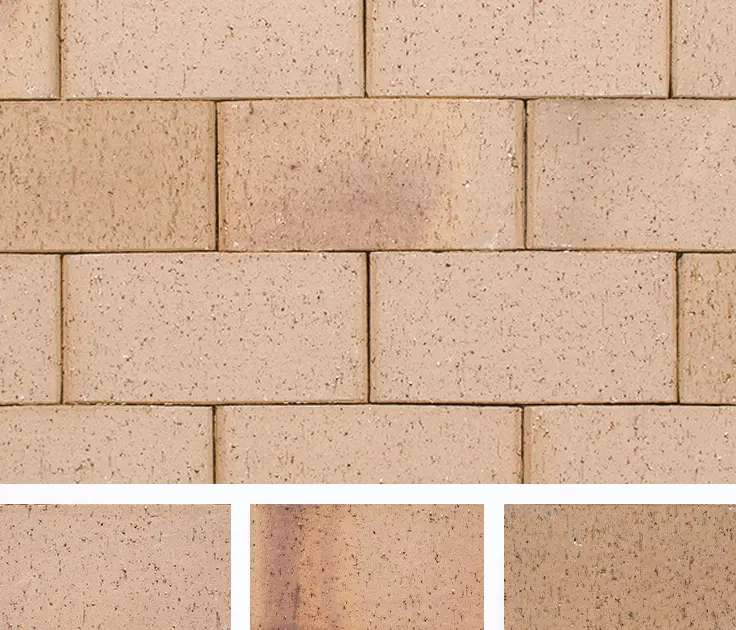 ロイヤルパイン・ペイバー-カラーバリエーション-オーランド