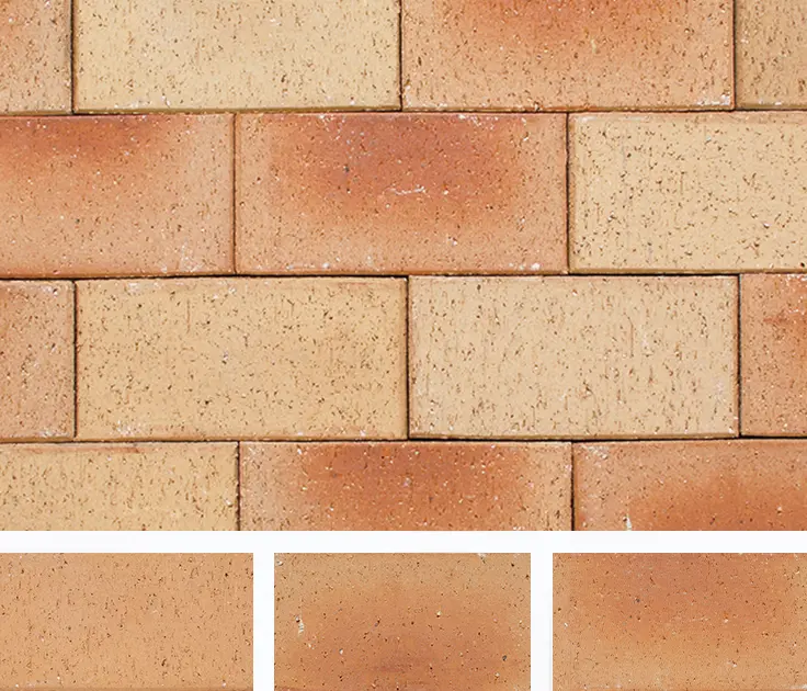 ロイヤルパイン・ペイバー-カラーバリエーション-アーモンドバリー