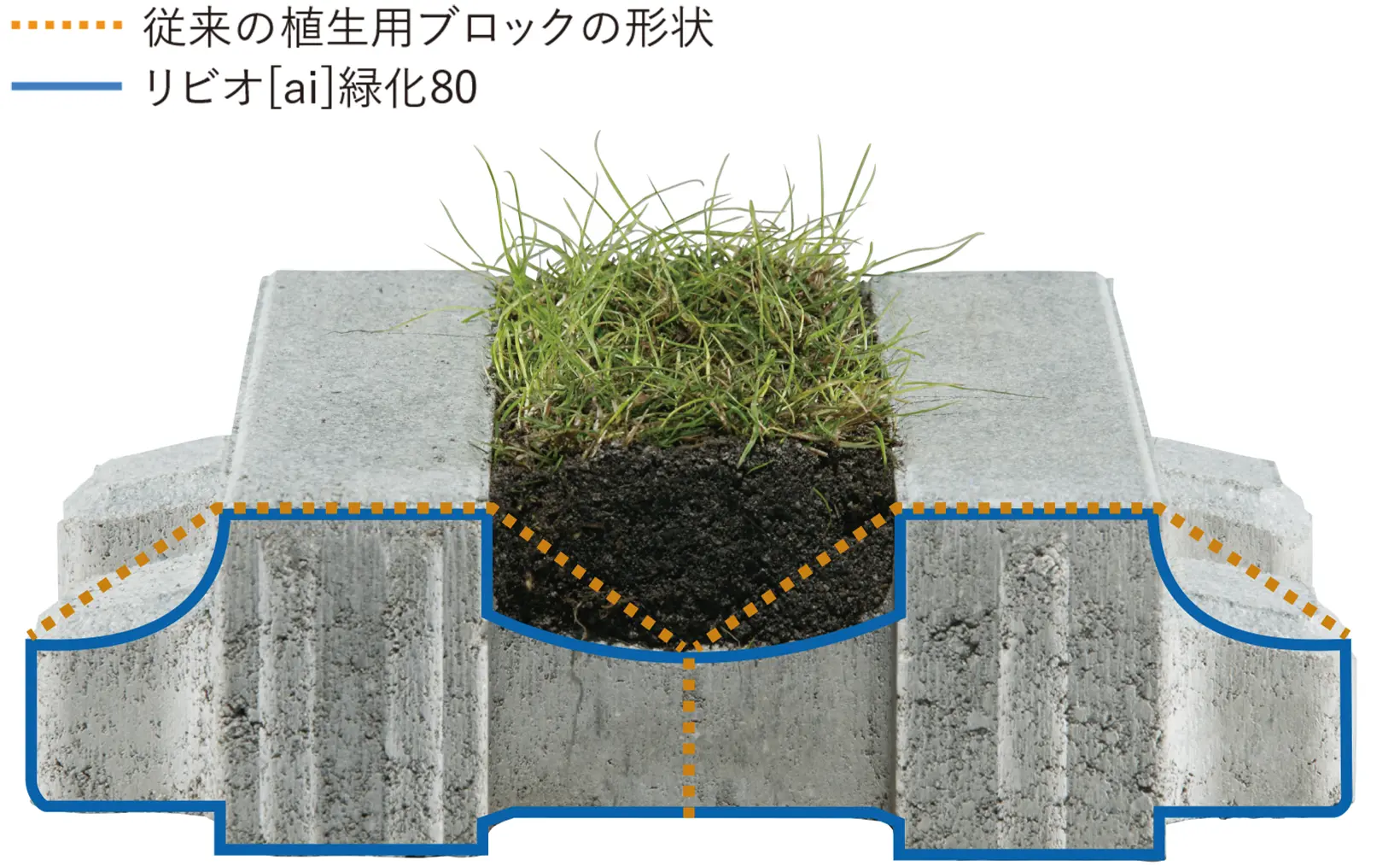 リビオ[ai]緑化_TIPS_芝生が生えやすい