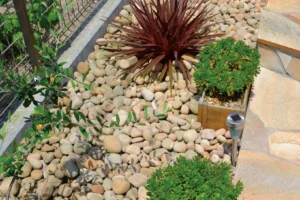 ピヤリ_ゴールデンチーク_施工例