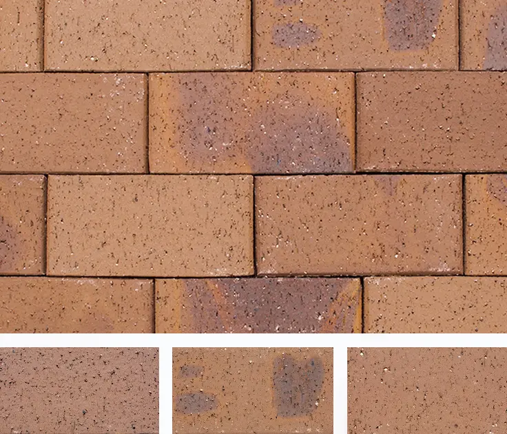 ロイヤルパイン・ペイバー-カラーバリエーション-カプチーノ