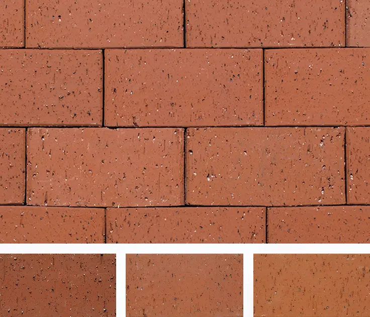 ロイヤルパイン・ペイバー-カラーバリエーション-ベリーマ