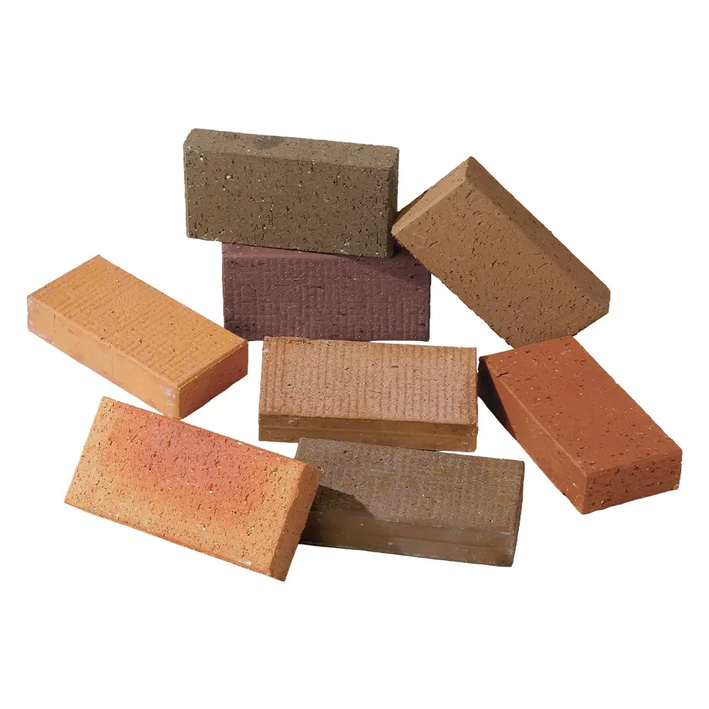 ロイヤルパイン・ペイバー