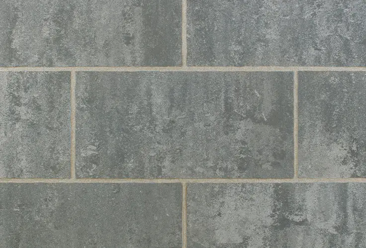 パエリア-カラーバリエーション-ティンタ