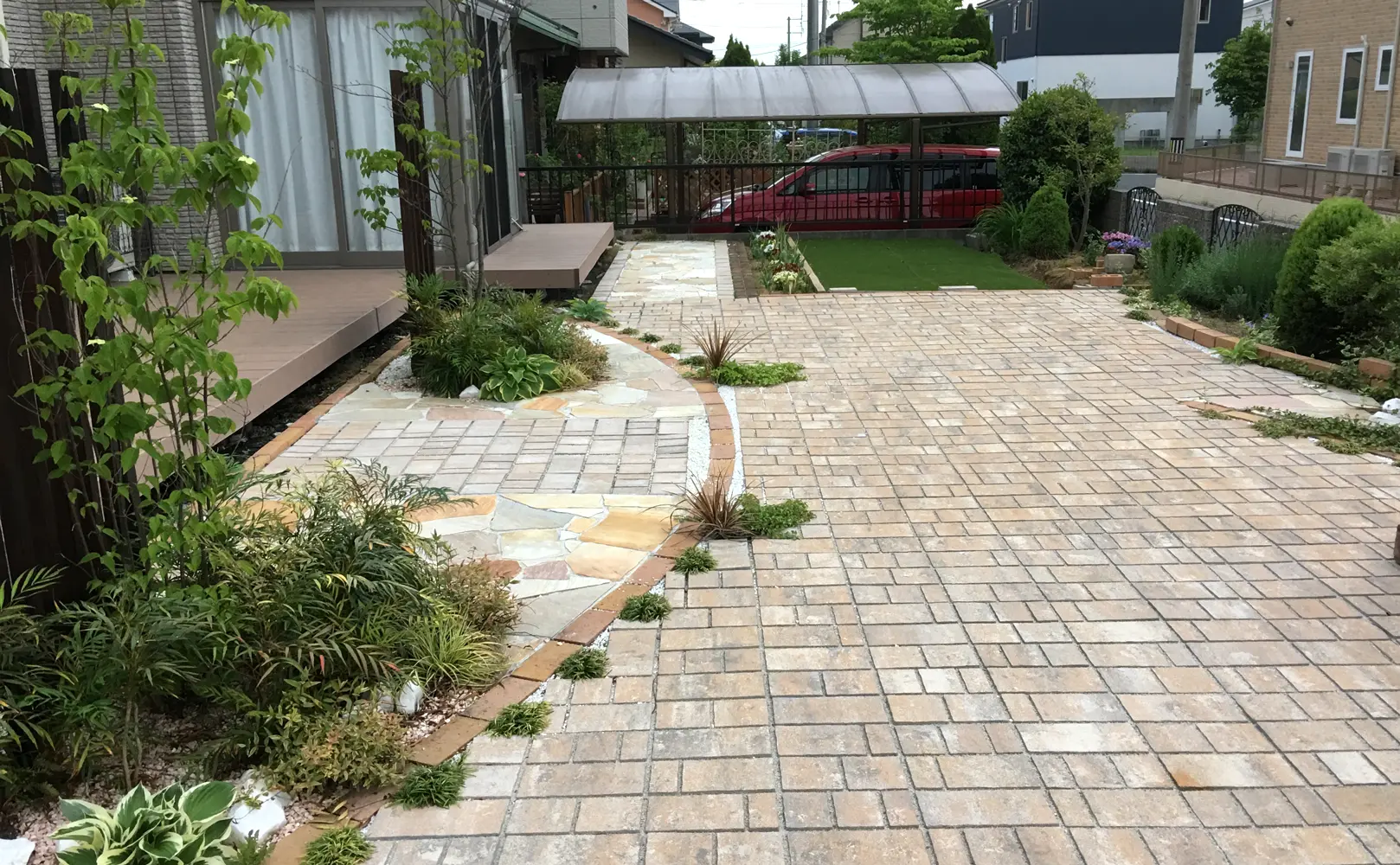 パエリアサフランを使用したお庭