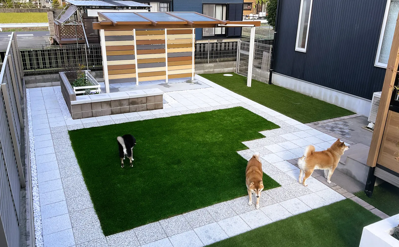 犬たちと遮熱インターロッキングブロック