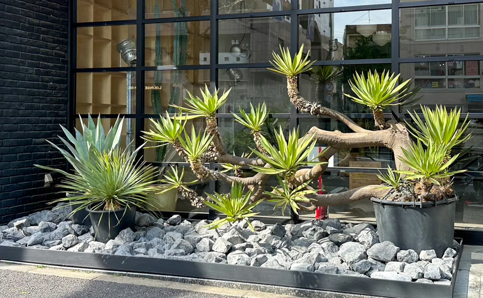 景石(ルナモンテ)と植物の鑑賞ガーデン