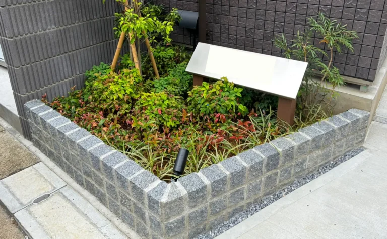 明暗のコントラストが強調されるピンコロ花壇