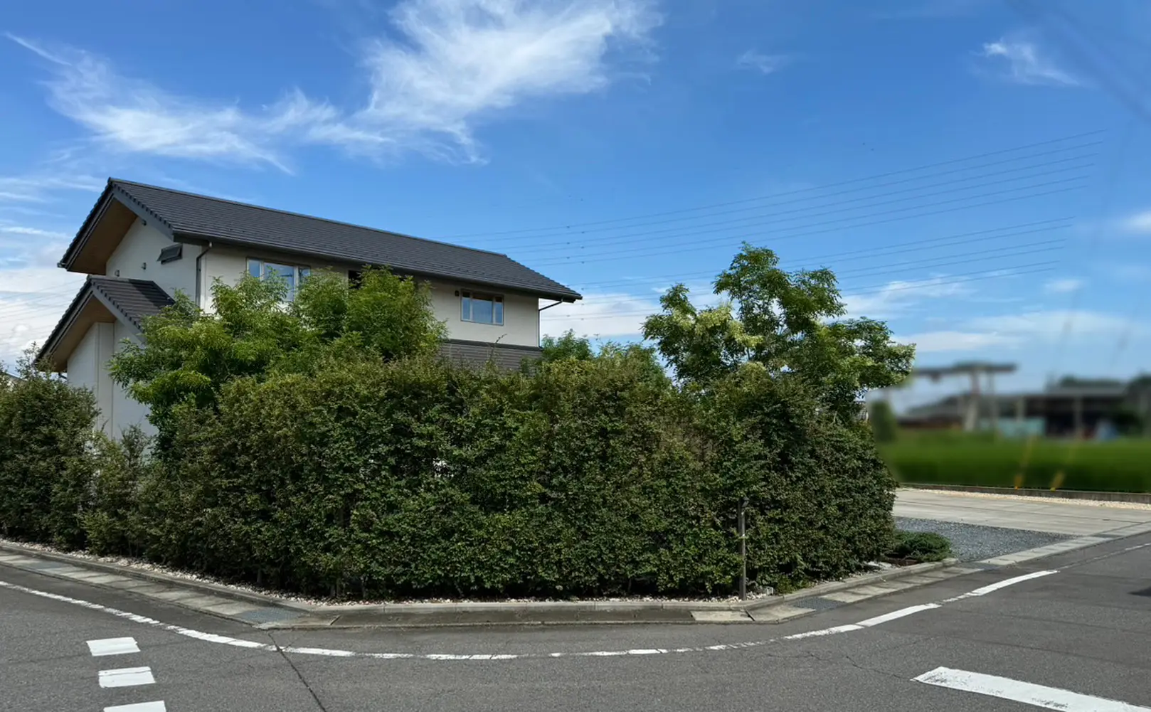 リフォーム前の生垣